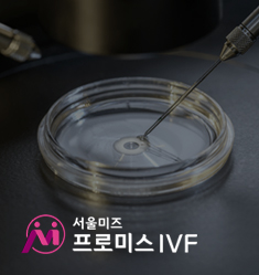 서울미즈 프로미스 IVF